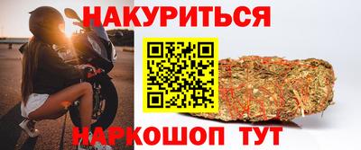 сатива Нальчик