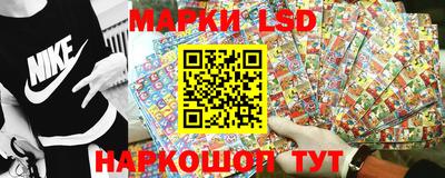 сатива Нальчик