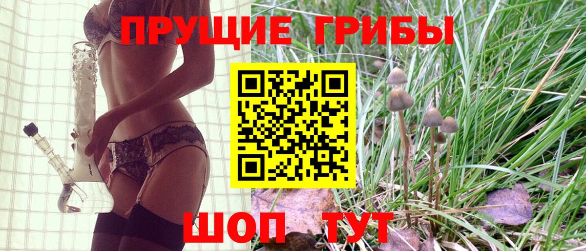 Галлюциногенные грибы прущие грибы  где можно купить   Псилоцибиновые грибы мицелий  Тихвин  Вход с VPN 